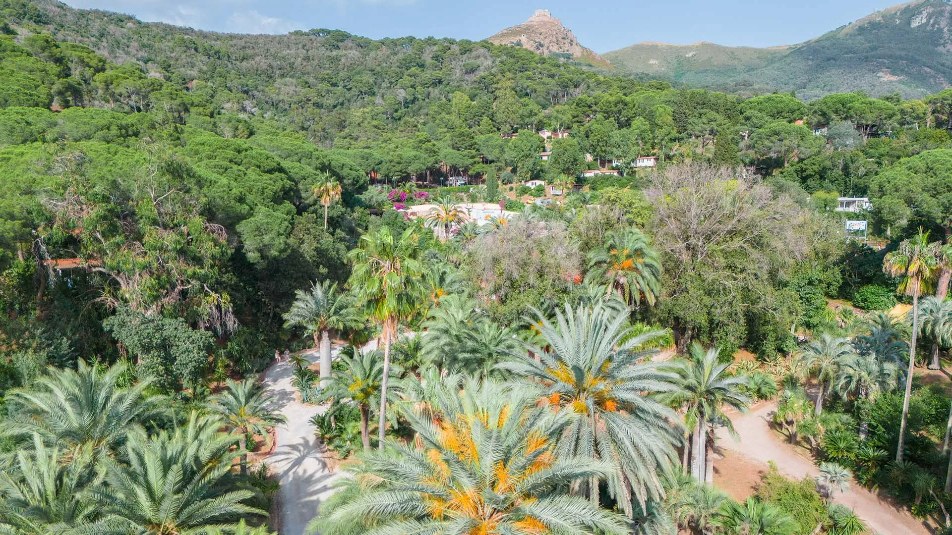 Nature and village services