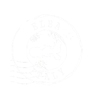 CSG Poststamp